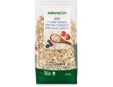 Naturaplan Bio 5-Korn-Flocken