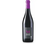 Naturaplan Bio-Amarone della Valpolicella DOC Monte Tabor (2019) – Rotwein, Italien (0.75l)