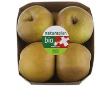 Naturaplan Bio Äpfel säuerlich grüne Sorte ca. 750g
