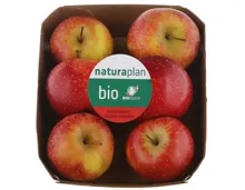 Naturaplan Bio Äpfel süss, säuerlich rote Sorte ca. 750g