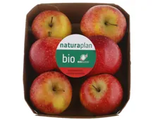 Naturaplan Bio Äpfel vv süss-säuerlich rote Sorte 750g