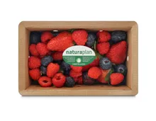Naturaplan Bio Beeren mix
