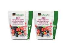 Naturaplan Bio Beerenmischung 2x300g