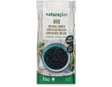 Naturaplan Bio Beluga Linsen