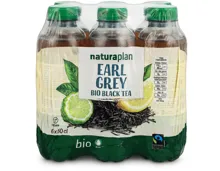 Naturaplan Bio-Black Tea Earl Grey 6x50cl