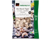 Naturaplan Bio Black Tiger Riesencreveten roh