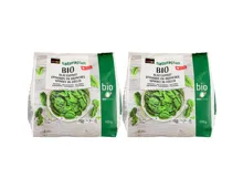 Naturaplan Bio Blattspinat ungewürzt 3x 500g