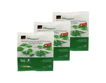 Naturaplan Bio Blattspinat ungewürzt 3x 500g