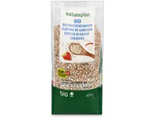 Naturaplan Bio Buchweizenflocken