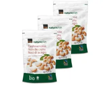 Naturaplan Bio Cashewnüsse 3x150g