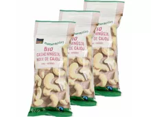 Naturaplan Bio Cashewnüsse 3x50g