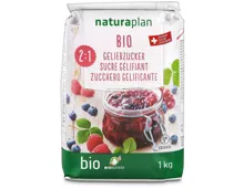 Naturaplan Bio CH Gelierzucker 4x1kg