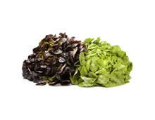 Naturaplan Bio Demeter Eichblattsalat grün oder rot