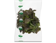 Naturaplan Bio Eichblatt Salat grün/rot 1 Stück