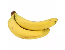 Naturaplan Bio Fairtrade Bananen ca. 1kg