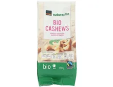 Naturaplan Bio Fairtrade Cashewnüsse gesalzen