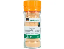Naturaplan Bio Fairtrade Ingwer gemahlen