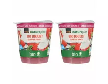 Naturaplan bio Fairtrade Joghurt Erdbeere & Vanille ohne Zucker 2x150g