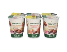 Naturaplan Bio Fairtrade Joghurt Vermicelles Vanille Apfel Zimt 6x180g