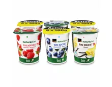 Naturaplan Bio Fairtrade Jogurt Heidlbeeren Himbeeren Vanille 6x180g