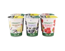 Naturaplan Bio Fairtrade Jogurt Heidlbeeren Himbeeren Vanille 6x180g