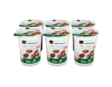 Naturaplan Bio Fairtrade Jogurt Mokka 6x180g