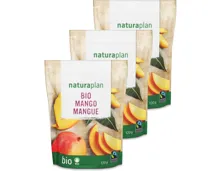 Naturaplan Bio Fairtrade Mango 3x 120g