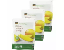 Naturaplan Bio Fairtrade Mango 3x120g