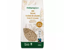 Naturaplan Bio Fairtrade Sesam