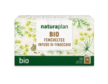 Naturaplan Bio Fencheltee 20 Beutel