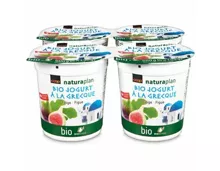 Naturaplan Bio Griechischer Jogurt Feigen 4x150g