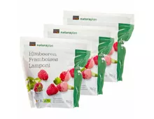 Naturaplan Bio Himbeeren 3x 300g