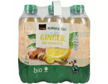 Naturaplan Bio Ice Tea Ginger Greentea 6x1l