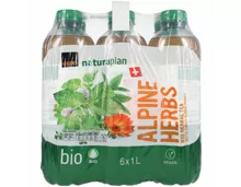 Naturaplan Bio Ice Tea Herbes des Alpes suisses 6x1l