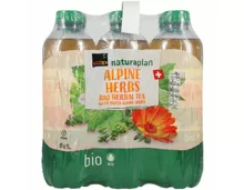 Naturaplan Bio Ice Tea Herbes des Alpes suisses 6x1l