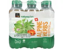 Naturaplan Bio Ice Tea Herbes des Alpes suisses 6x50cl