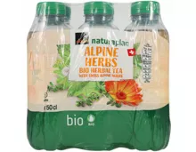 Naturaplan Bio Ice Tea Herbes des Alpes suisses 6x50cl