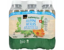 Naturaplan Bio Ice Tea Herbes des Alpes suisses ungesüsst 6x50cl