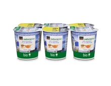 Naturaplan Bio Joghurt à la Grecque Honig 6x150g