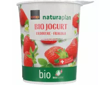 Naturaplan Bio Joghurt Erdbeer