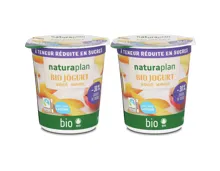 Naturaplan Bio Joghurt Mango 2x180g