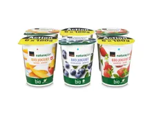 Naturaplan Bio Joghurt Mango Heidelbeere & Erdbeere 6x180g