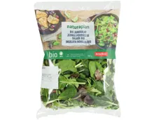 Naturaplan Bio Jungsalat