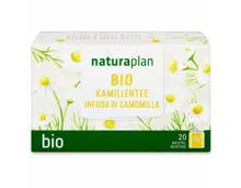 Naturaplan Bio Kamillentee 20 Beutel