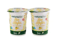 Naturaplan Bio Kefir Honig & Ingwer 2x180g