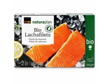 Naturaplan Bio Lachsfilet 2 Filets