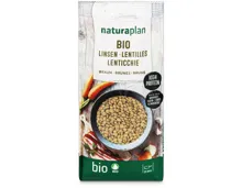 Naturaplan Bio Linsen