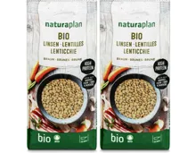Naturaplan Bio Linsen braun 2x500g