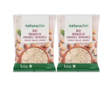 Naturaplan Bio Mandeln gemahlen 2x 200g