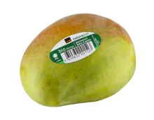 Naturaplan Bio Mango 1 Stück